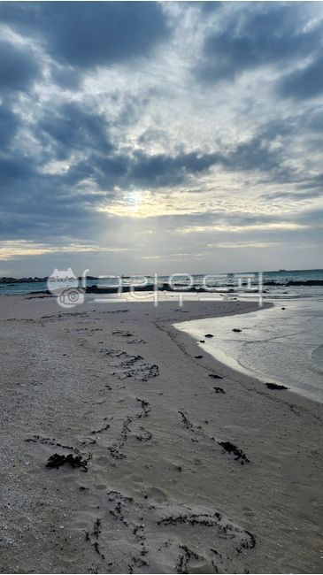 바다,모래,노을,해변,협재,제주도