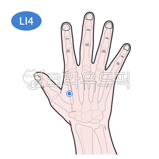 경혈, 혈자리, 한의학, 침술, 침구학, 사진,이미지,일러스트,캘리그라피 - Nchuccida작가