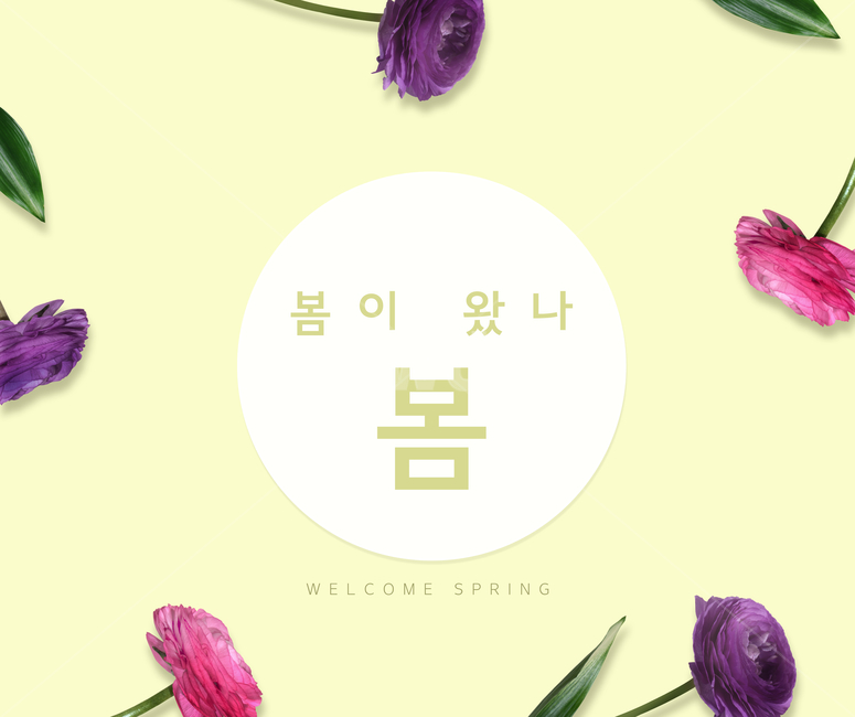 꽃,라넌큘러스,봄꽃,봄,프레임,표지,전단지,브로슈어,카달로그,봄,계절,spring,season,꽃,flower,그래픽,일러스트레이션,graphic,illustration