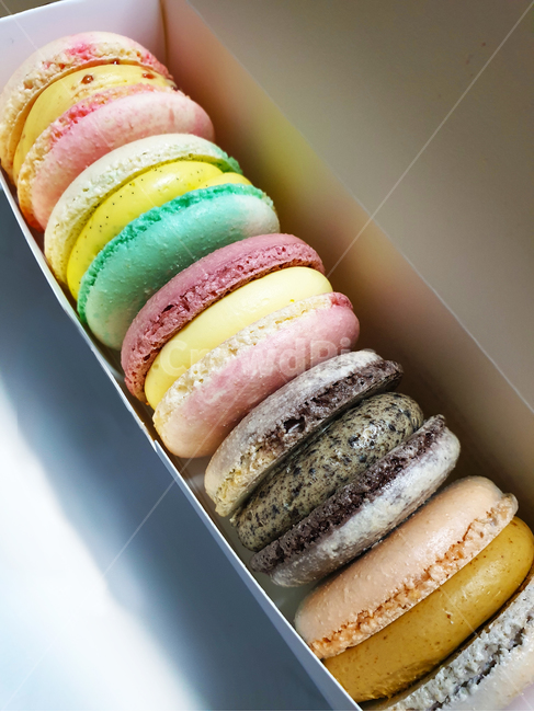 마카롱,꼬끄,confectionery,food,음식,sweets,과자,달콤한,디저트,음식,식재료,요리,food,cook,meal,dishes,food reserves,디저트,간식,후식,dessert,snack
