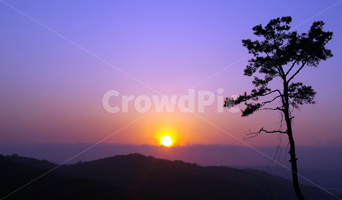 일출,자연,해돋이,나무,산,자연,풍경,nature,landscape,outdoors,옥외,dusk,황혼,sunset,일몰,sky,하늘,dawn,새벽,red sky,붉은 하늘