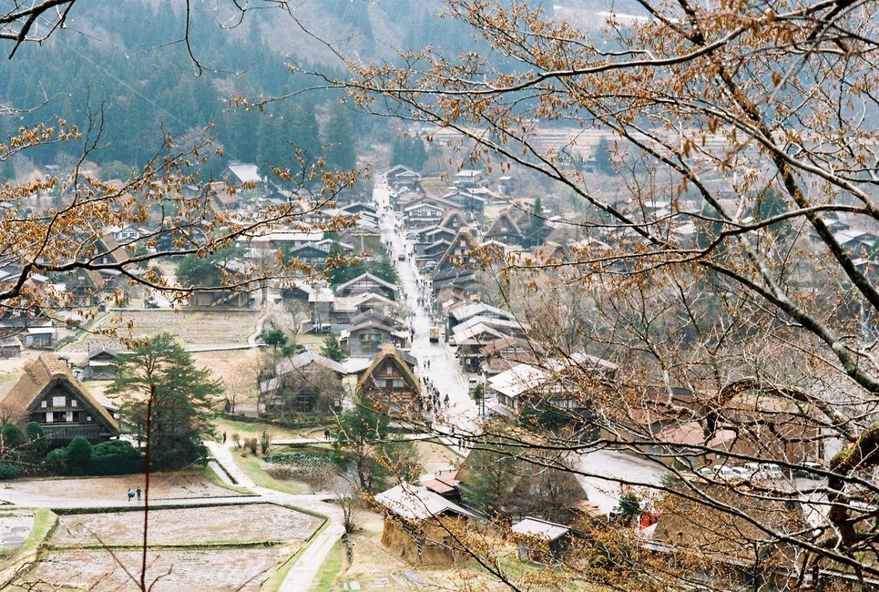 japan,시라카와고,shirakawago,마을전경,아기자기한마을,마을,일본마을,소도시,시골마을