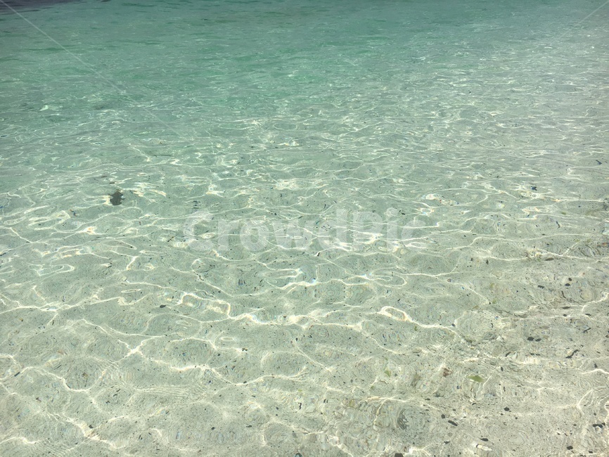 에메랄드,바다,물,sea,water