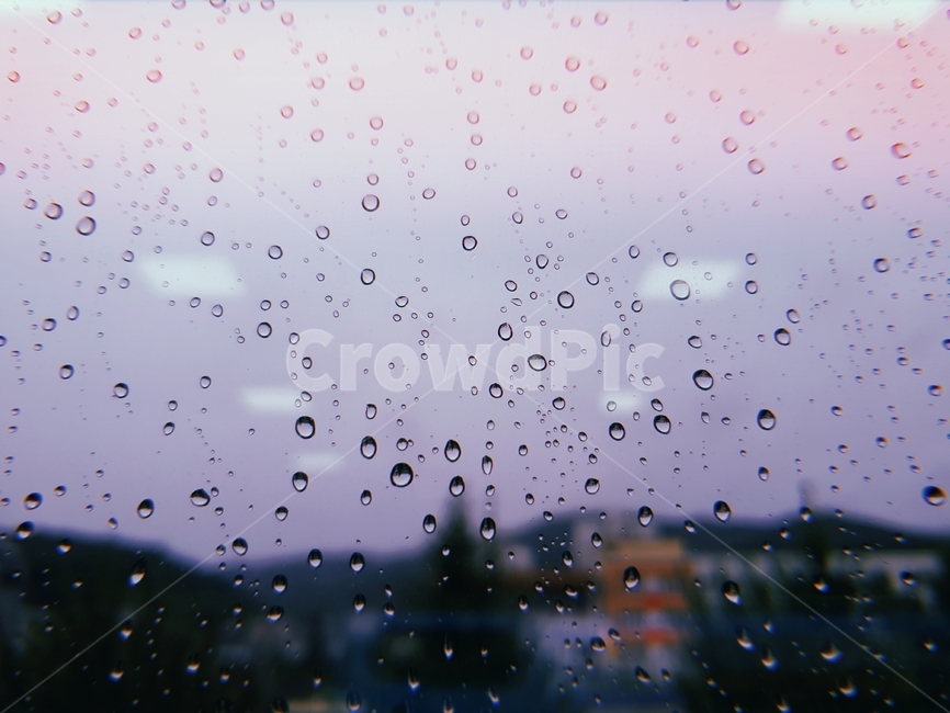 비,비오는날,물방울,흐린날,창문,rain,window,waterdrops,작은물방울,droplet,필름카메라,비,비오는날,rain,rainy