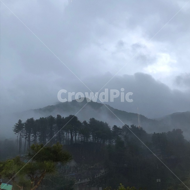 풍경,산,하늘,풍경화,안개,나무,구름,수묵화