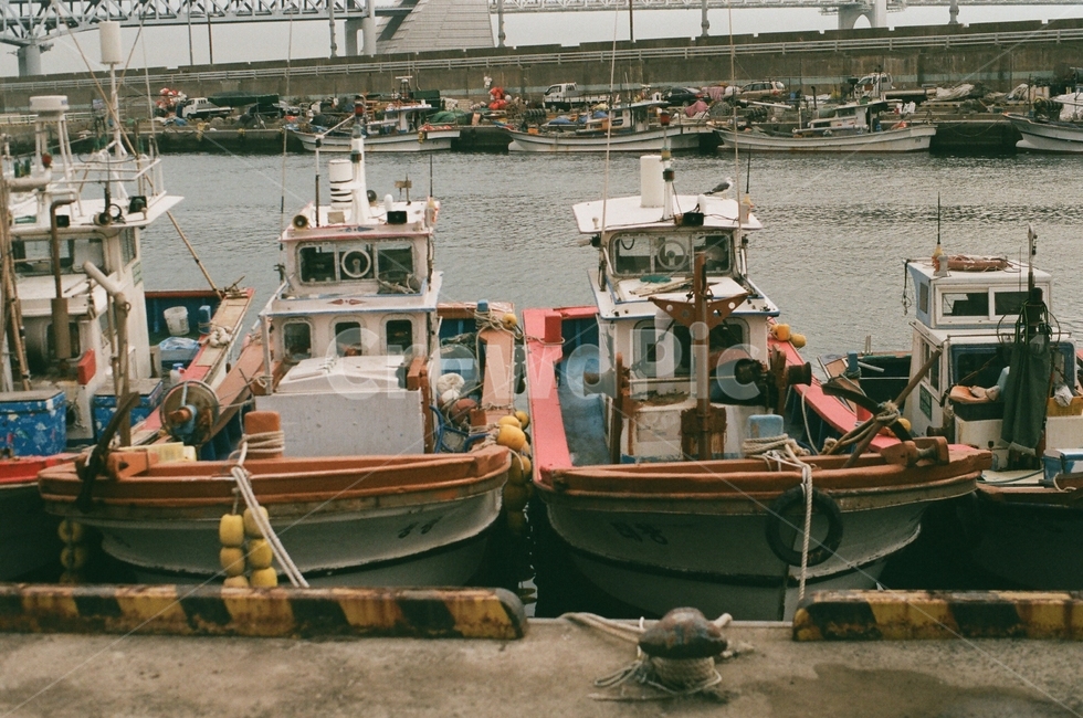 선박,바닷가,배,오후,겨울,산업,industry,industrial,어업,fishery,fishing industry