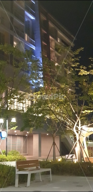 의자,벤치,plant,나무,outdoors