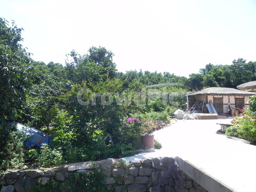 outdoors,옥외,house,country,road