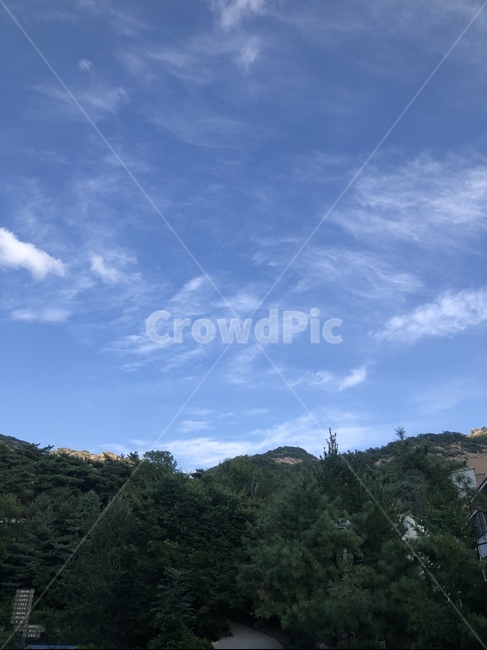 자연,하늘,나무,nature,어느날