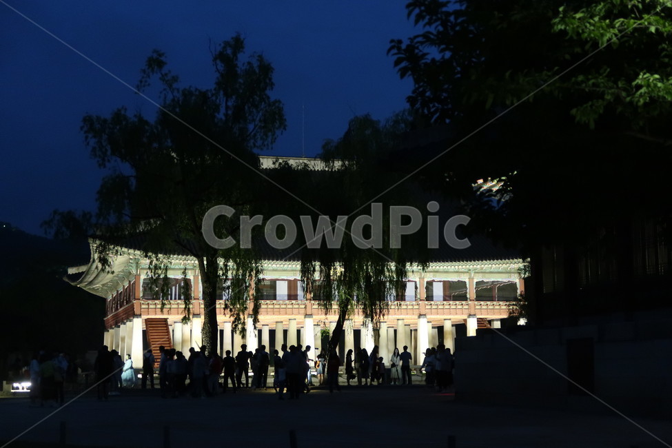 경복궁,한국,전통,동양풍,건물,자연,컬러,gyeongbokgungpalace,korea,traditional,orientalstyle,buildings,nature,tree,plant,stone,color,조선시대,궁궐,야경,밤,풍경,nightscape,night,landscape