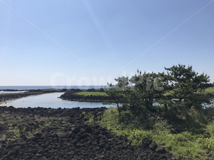 제주도,자연,무보정,바다,들판,자연,풍경,nature,landscape,제주도,jeju,jeju island,outdoors,옥외,land,땅