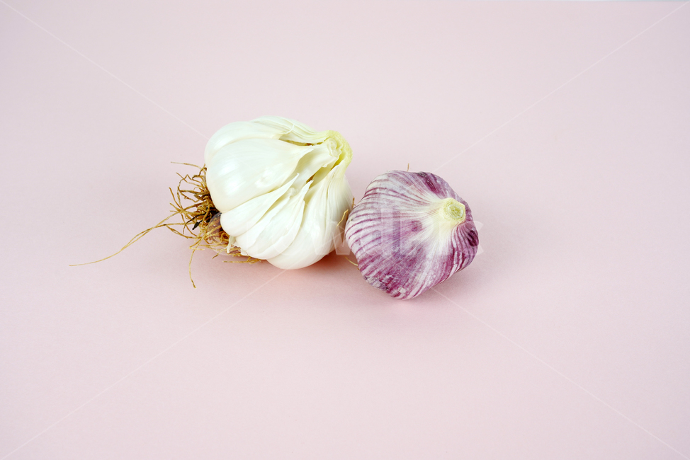 마늘,음식,식품,요리재료,음식재료,식재료,양념,한식,통마늘,재료,농작물,음식,식재료,요리,food,cook,meal,dishes,food reserves