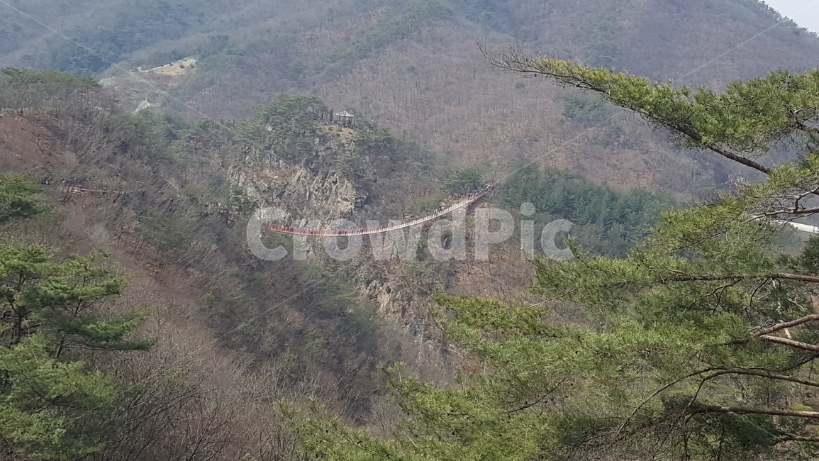 nature,자연,경치,풍경,outdoors
