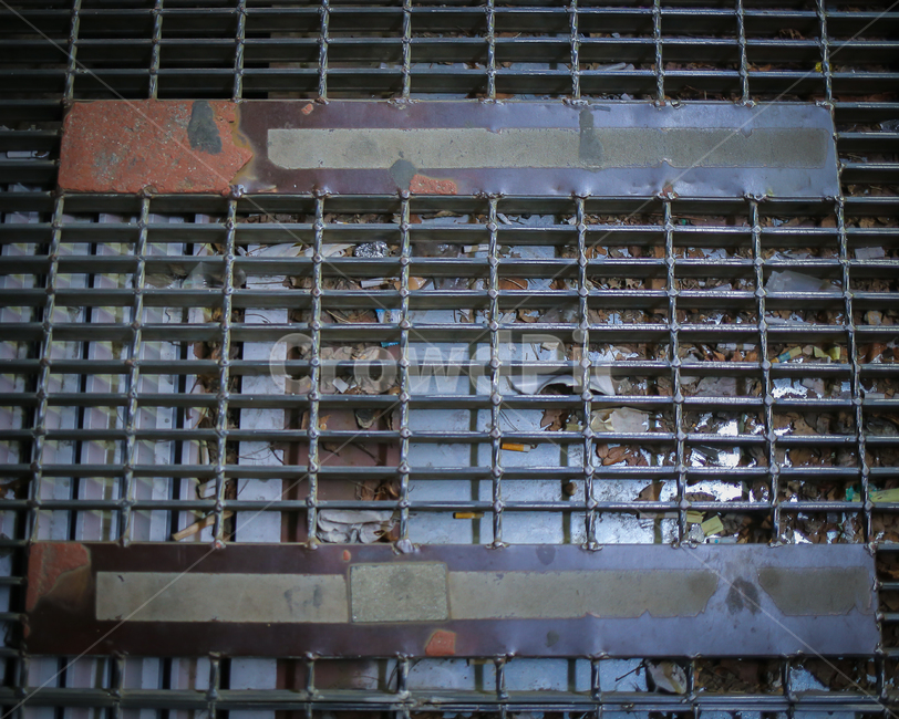prison,감옥,나뭇잎,철,사각
