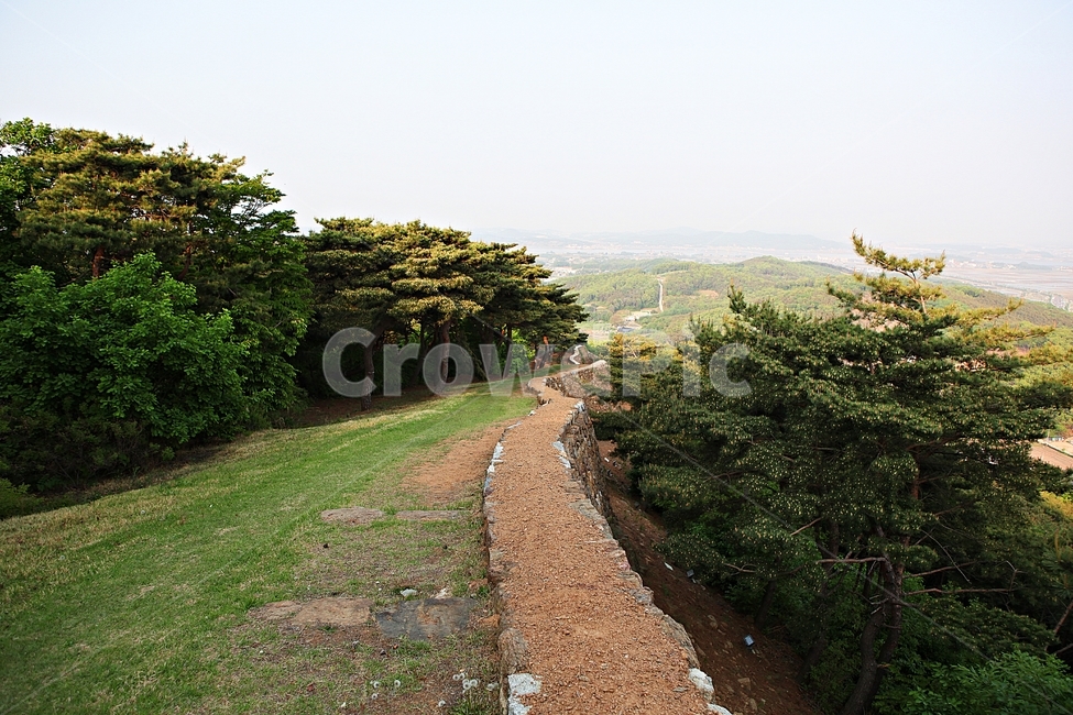 성,전등사,전등사성곽,돌담,숲길,자연,배경,풍경