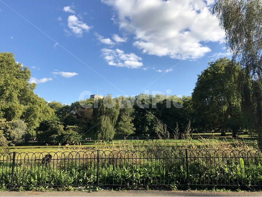 하늘,옥외,공원,나무,풀,잔디,grass,sky,cloud,tree,outdoors