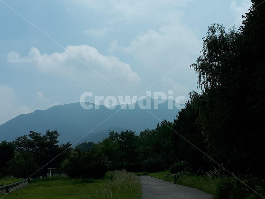 감성사진,녹음,산길,임도,산행