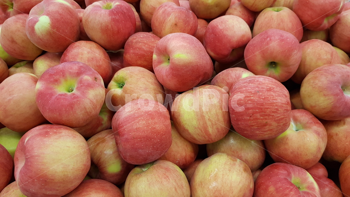 식품,과일,햇사과,가을사과,fruit