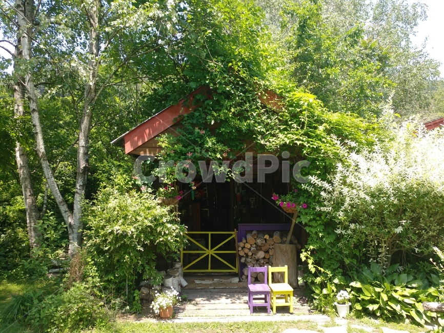 덩굴,우거진,정적인,풍경,감성,식물,자연,plants,nature,건축물,건물외관,exterior,building,structure,architecture,construction