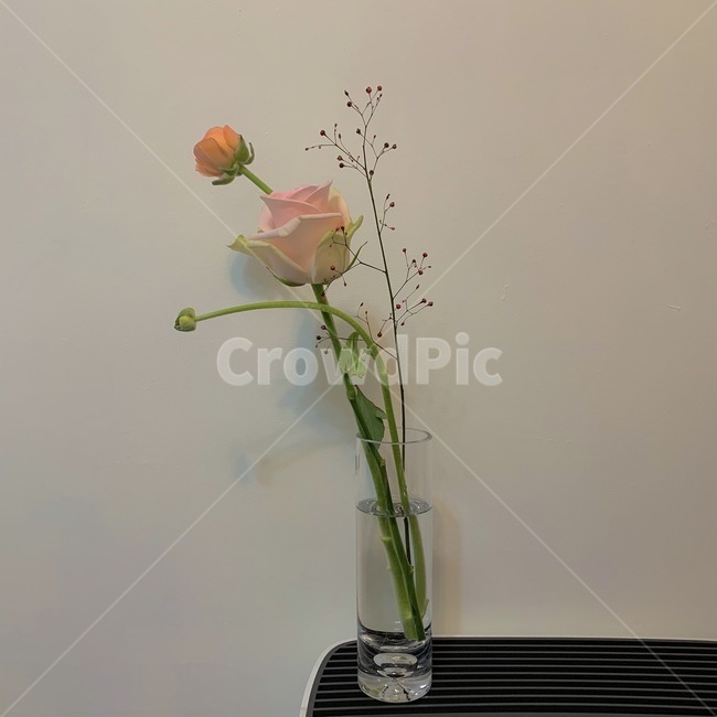 vase,병장식,pottery,도기류,ornament,장식,flowerarrangement,꽃꽂이,blossom,plant,식물,jar,항아리,flower,꽃,장미,빅토리아장미,라넌큘러스,잎열매,꽃다발,화병