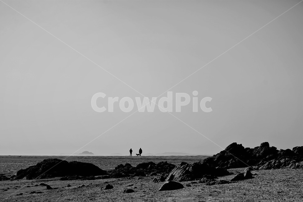 바다,사람,백사장,모래,자연,풍경,자연,풍경,nature,landscape,한국자연풍경,한국자연경관,korea nature landscape,사람,인물,인간,human,person,흑백,모노톤,monochrome,black and white,ground,바닥