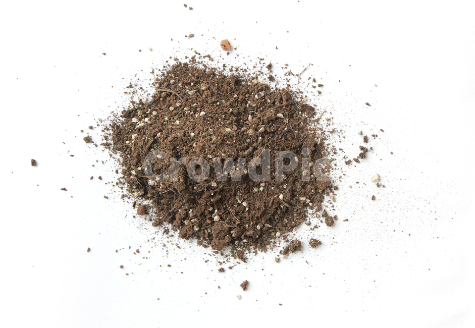 흙,모래,soil,sand,soiltexture,덩어리,탑앵글,흰배경,누끼,가루,흙가루,모래가루,갈색,브라운,텍스춰,건조한,black,botany,brown,closeup,compost,dark,dirt,dirty,dry,dust,grain,heap,humus,ingredient,macro,mineral,nobody,object,organic,path,powder,splash,spray,texture,topview,toxic,뿌린,누끼,remove background
