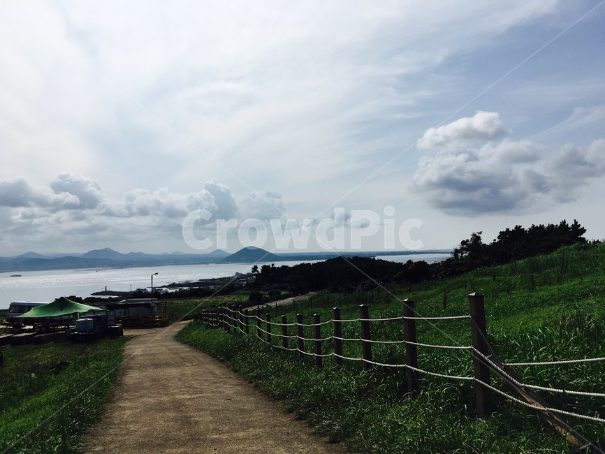 제주도,말,자연,초록초록,산