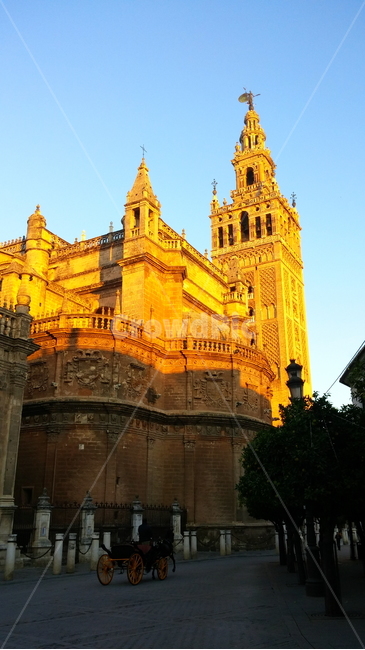 스페인,세비야,히랄다탑,세이야대성당,야외,건물,건축물