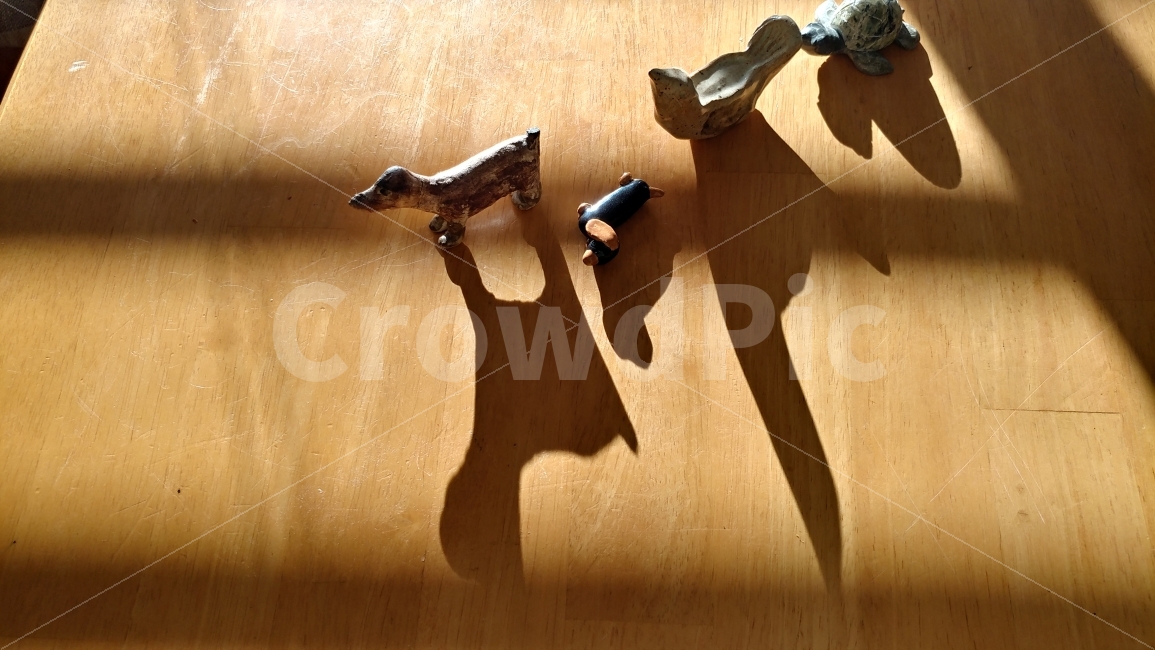 그림자,강아지,멍멍이,새,거북이,그림자놀이,lightandshadow,사물,물건,오브젝트,thing,object,matter