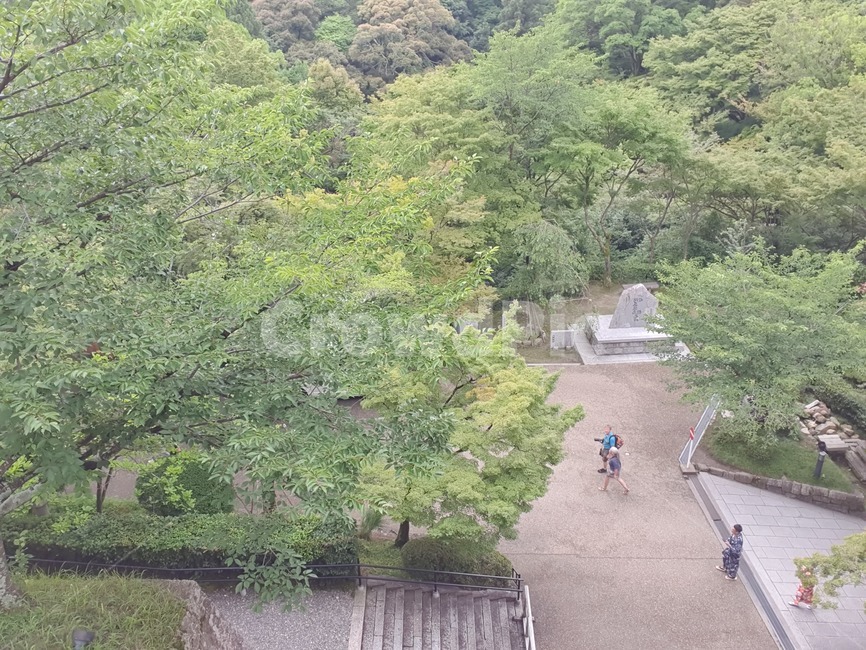 일본,일본거리,일본풍경,교토,교토신사,신사