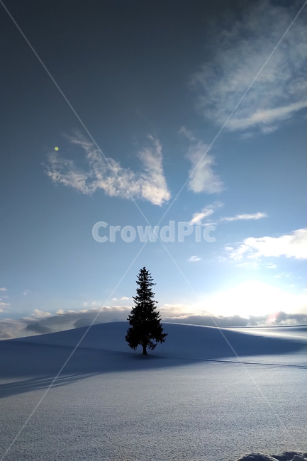 겨울,winter,눈,snow,자연,nature,나무,tree,겨울,계절,winter,season,자연,풍경,nature,landscape