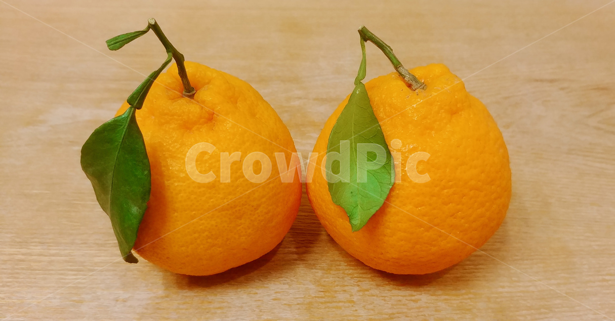한라봉,제주도,과일,감귤,과실,음식,식재료,요리,food,cook,meal,dishes,food reserves,과일,열매,fruit