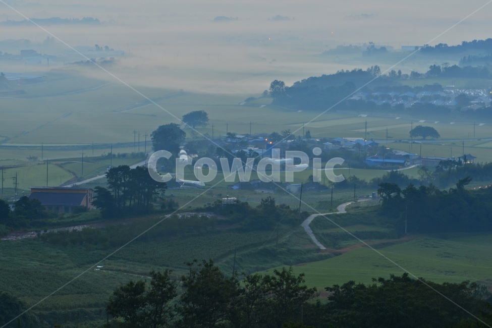 전남,함평,밀재,밀재일출,여명,아침,해돋이,sky,하늘,dawn,새벽,redsky,붉은하늘,fog,안개,plant,식물,nature,자연,outdoors,옥외,scenery,풍경,landscape,경치,mountain,산