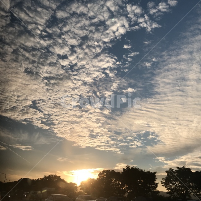 노을,빛,하늘,자연,구름,자연,풍경,nature,landscape,light,flare,플레어,sunlight,햇빛