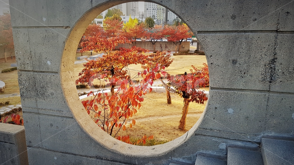 가을,단풍,자연,풍경,구멍,벽,계단,동그라미,감성,붉은색,인공물,공원,길,fall,tree,leaf,red,hole,stair,wall,가을,계절,fall,autumn,season,나무,plant,식물,잎