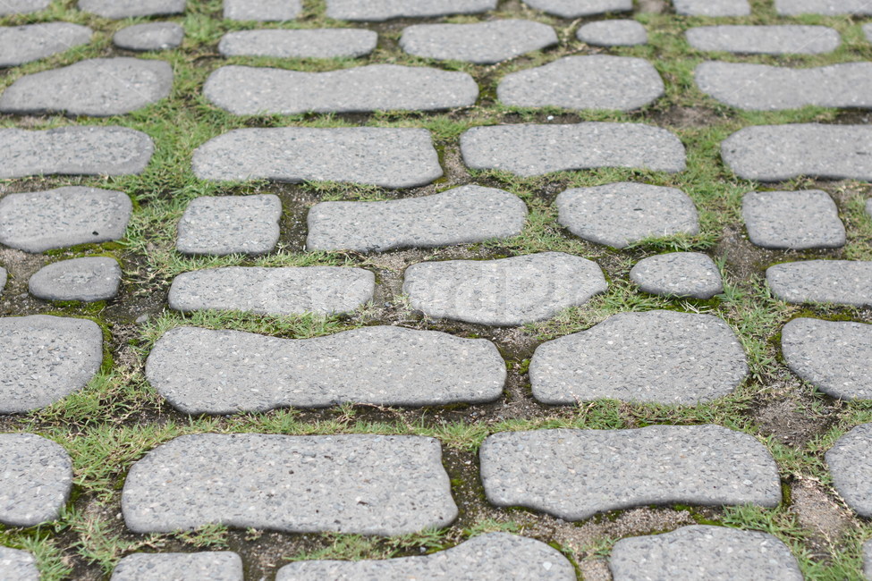 도보블럭,패턴,길,인도,잔디,sidewalkblock