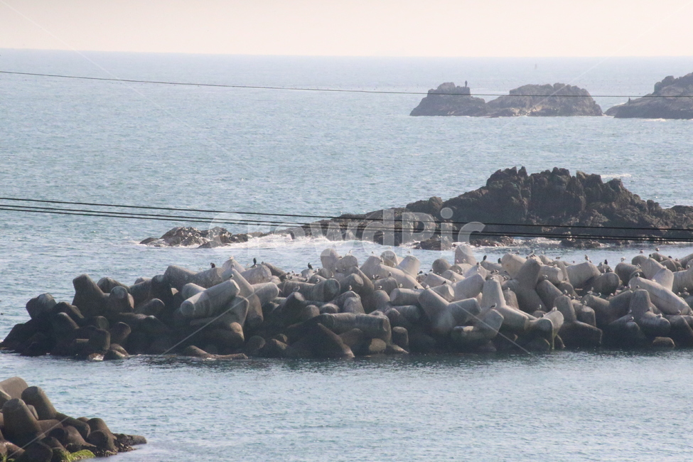 부산,기장,바닷가,방파제,겨울바다
