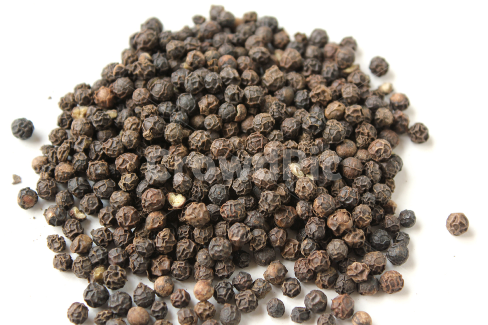 black,brown,cooking,dry,food,glass,gourmet,pepper,peppercorn,seeds,spice,spicy,white,검은색,검정,갈색,브라운,요리,음식재료,음식,후추,후추가루,향신료,매운,식재료,탑앵글,탑뷰,통후추,음식,식재료,요리,food,cook,meal,dishes,food reserves,콩류,견과류,beans,pulse,nuts,dry fruits,누끼,remove background