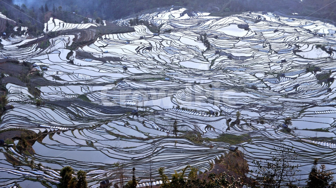 field,들,outdoors,옥외,nature,자연,landscape,경치,scenery,풍경,weather,날씨,중국,운남,원양제전,원양다랭이논,다락논,농경지,농업,농사,경작,다랭이논,자연,풍경,nature,landscape,농업,농사,agriculture,farming,farming industry