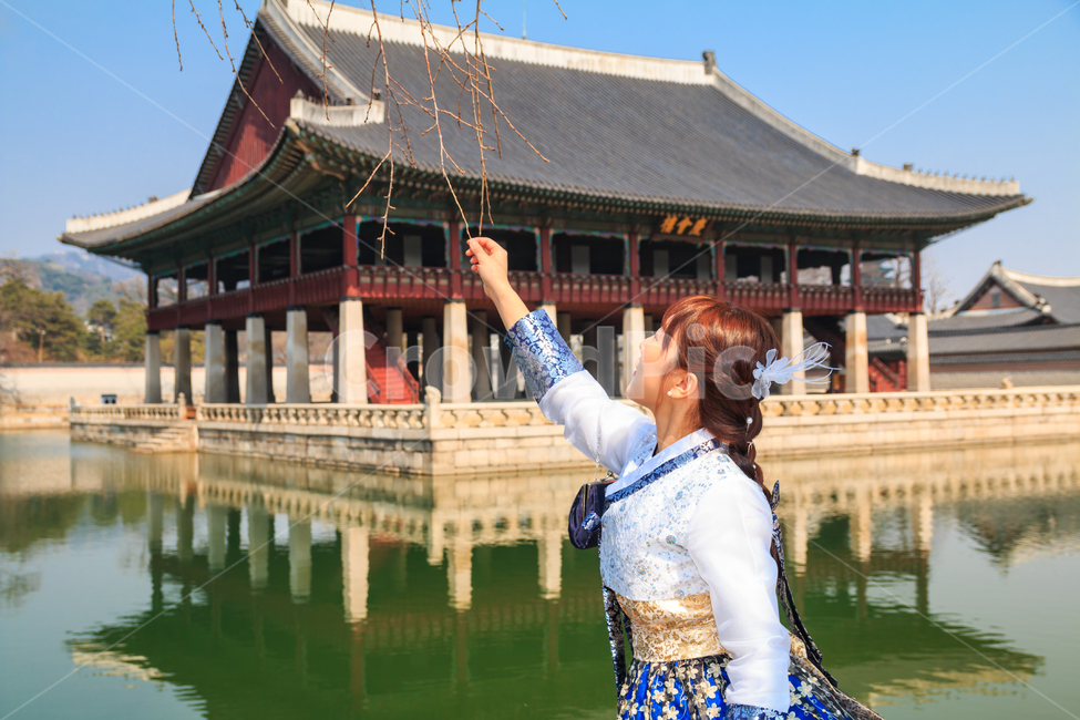 경복궁,경회루,한복,여성,패션,전통,복장,의복,비단,실크,연못,궁전,궁궐,문화,문화유산,유적,풍경,경치,봄,나뭇가지,고운,자태,아름다운,우아한,건물,건축,기와,기와지붕,고궁,한국전통,한국문화,korean traditional,korean culture,한복,한국전통의상,hanbok,korean traditional clothes,랜드마크,landmark,tourist attraction,한국랜드마크,한국관광지,한국명소,korea landmark,korea tourist attraction,사람,인물,인간,human,person,여성,여자,woman,female,lady