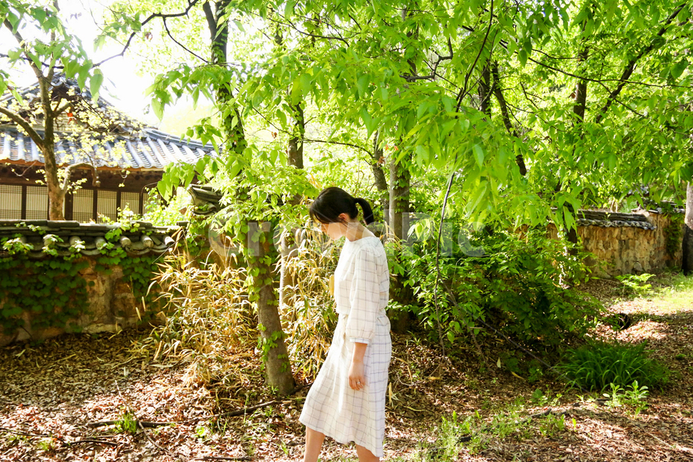민속촌,여름,숲,나무,산책,자연,자연,풍경,nature,landscape,한국전통,한국문화,korean traditional,korean culture,사람,인물,인간,human,person,여성,여자,woman,female,lady,garden,정원,outdoors,옥외,arbour,정자