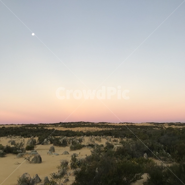 사막,desert,풍경,자연,사막풍경,사막경치,돌,피나클스,호주,호주자연,호주경치,오스트레일리아,austrailia