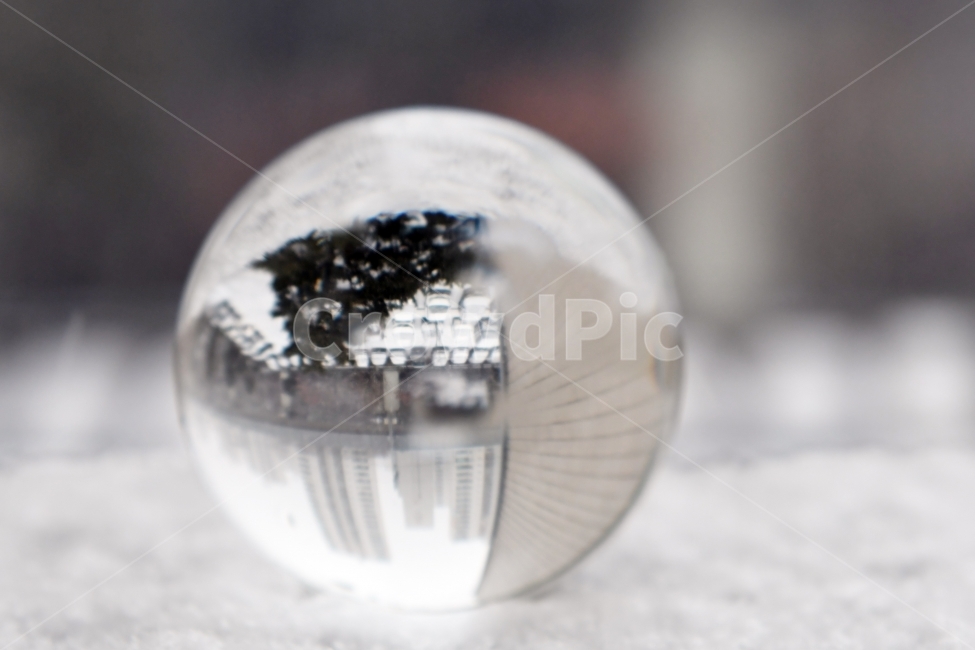 눈,함박눈,겨울,백색,화이트,나뭇잎,배경,추위,나무,풍경,구슬,겨울,계절,winter,season,사물,물건,오브젝트,thing,object,matter