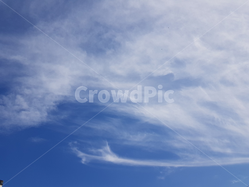 구름,하늘,파란하늘,뭉게구름,특이한구름,파란,푸른하늘,special,sky,bluesky