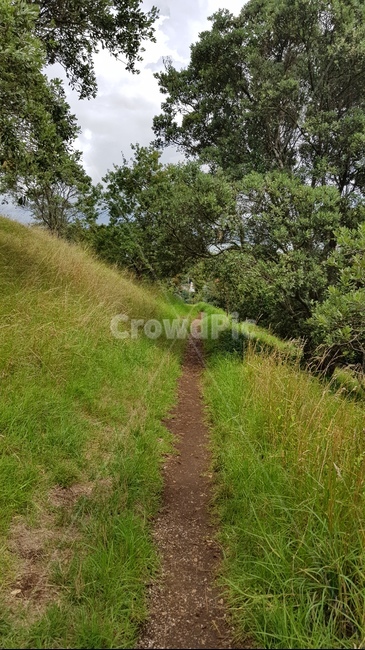 grassland,field,path,숲길,길,통로,자연,풍경,nature,landscape,outdoors,옥외,목초지,들