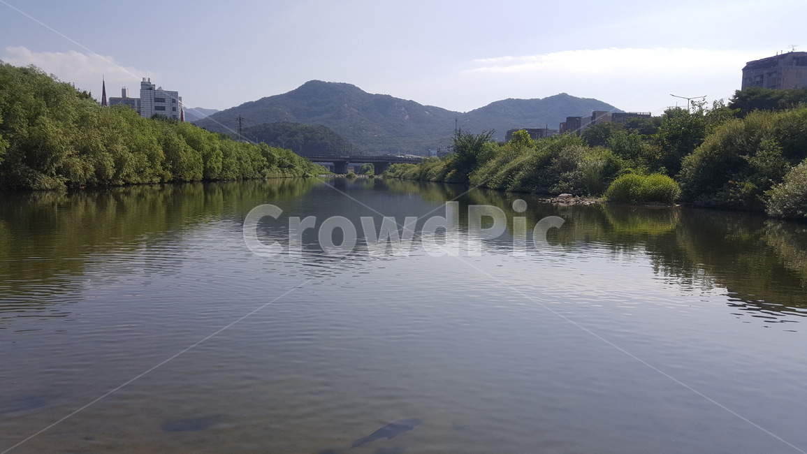 nature,자연,water,물,풍경