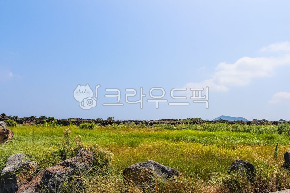 초원, 들판, 하늘, 구름, 푸른하늘, 사진,이미지,일러스트,캘리그라피 - SuperbPixel작가
