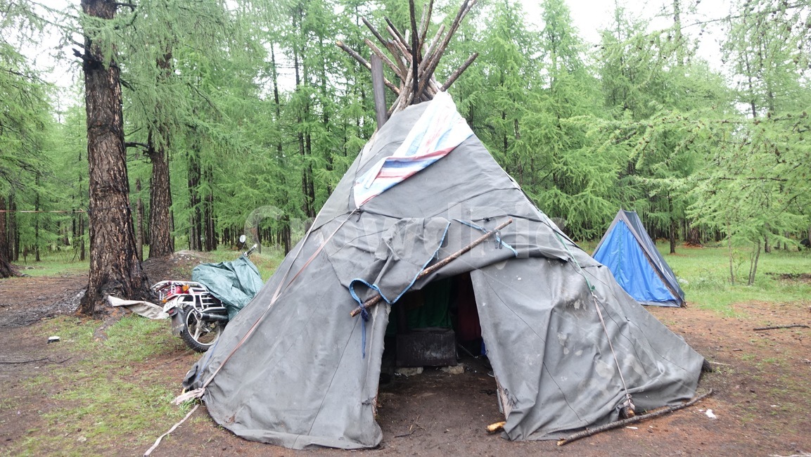 숲,forest,티피,tent,텐트,camping,캠핑