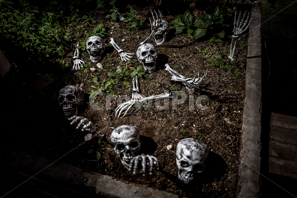 할로윈,해골,공포,뼈,시체,호러,공포,호러,무서운,무서움,horror,terror,fear
