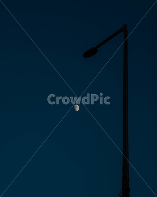달,달빛,가로수,저녁,moon,가로등